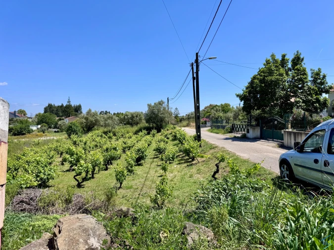 Terreno para Venda em São Pedro de Tomar Foto 12