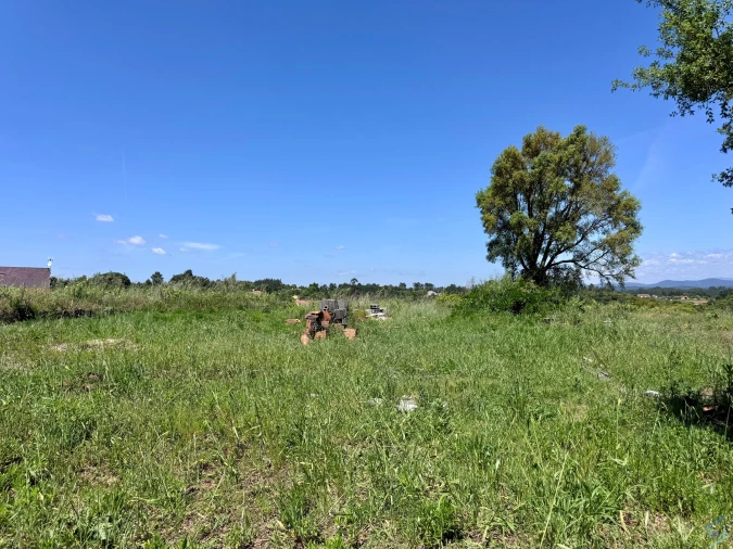 Terreno para Venda em São Pedro de Tomar Foto 8