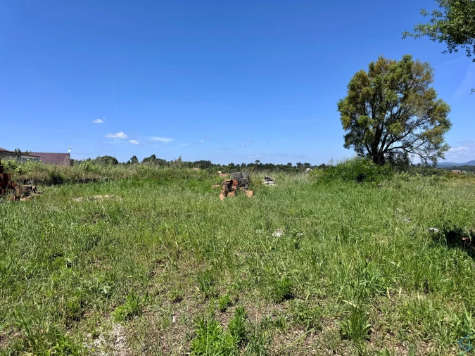 Terreno para Venda em São Pedro de Tomar Foto 10