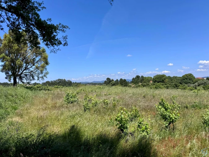 Terreno para Venda em São Pedro de Tomar
