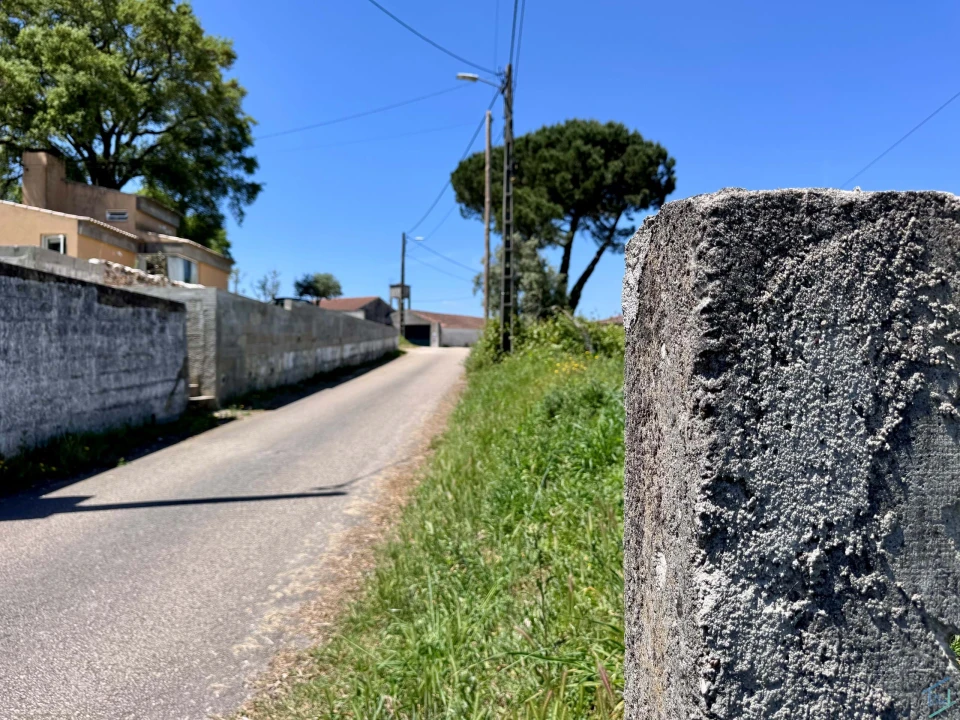 Terreno para Venda em São Pedro de Tomar Foto 4