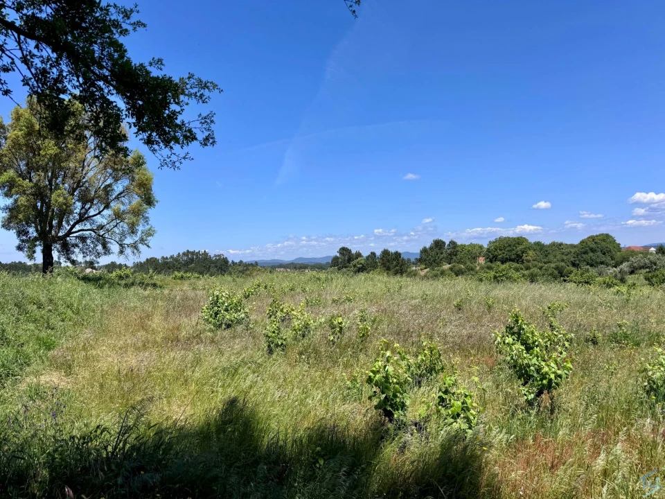Terreno para Venda em São Pedro de Tomar Foto 1