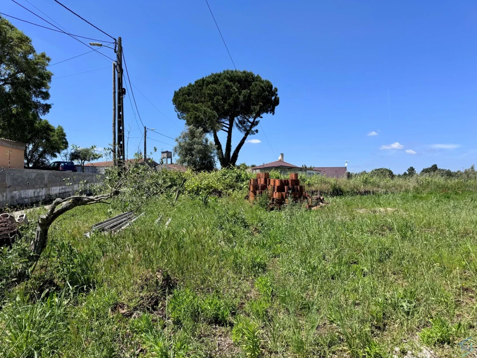 Terreno para Venda em São Pedro de Tomar Foto 11