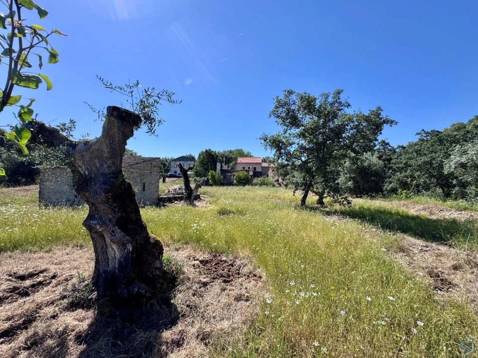 Terreno para Venda em Areias e Pias Foto 33