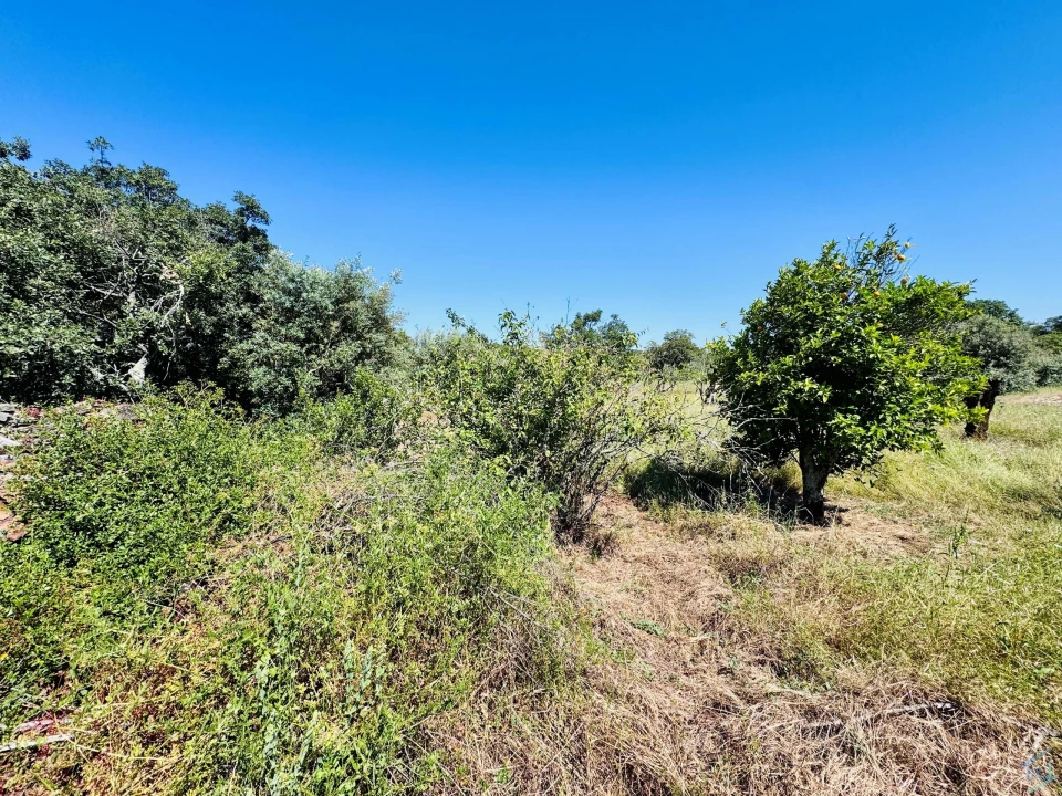 Terreno para Venda em Areias e Pias Foto 17