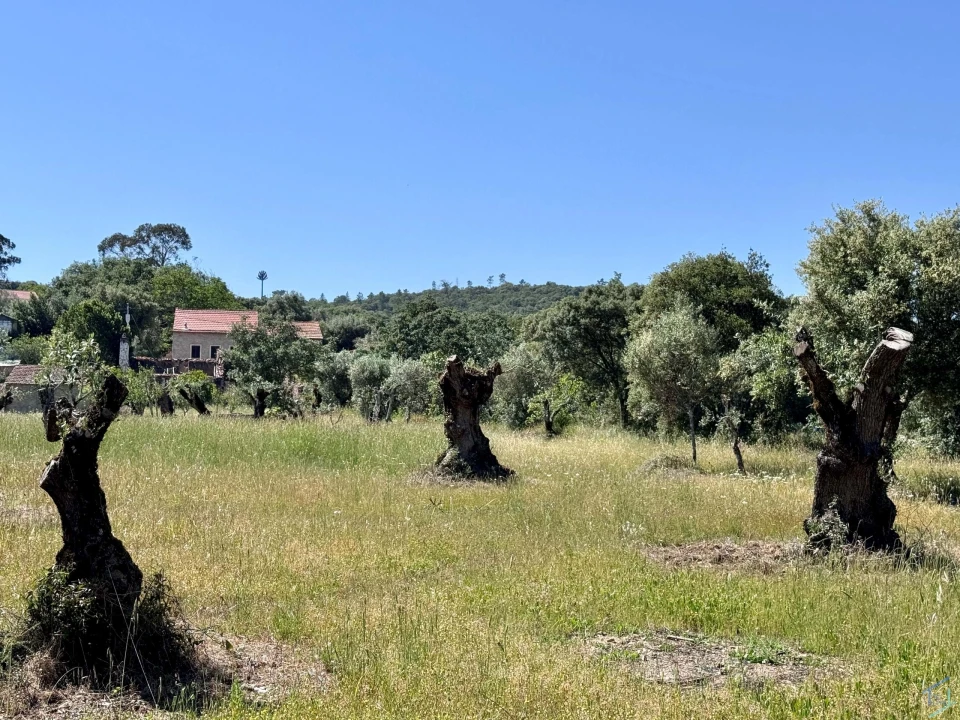 Terreno para Venda em Areias e Pias Foto 48