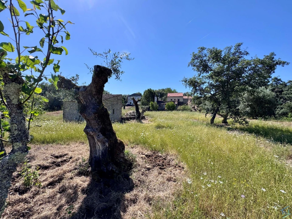 Terreno para Venda em Areias e Pias Foto 35