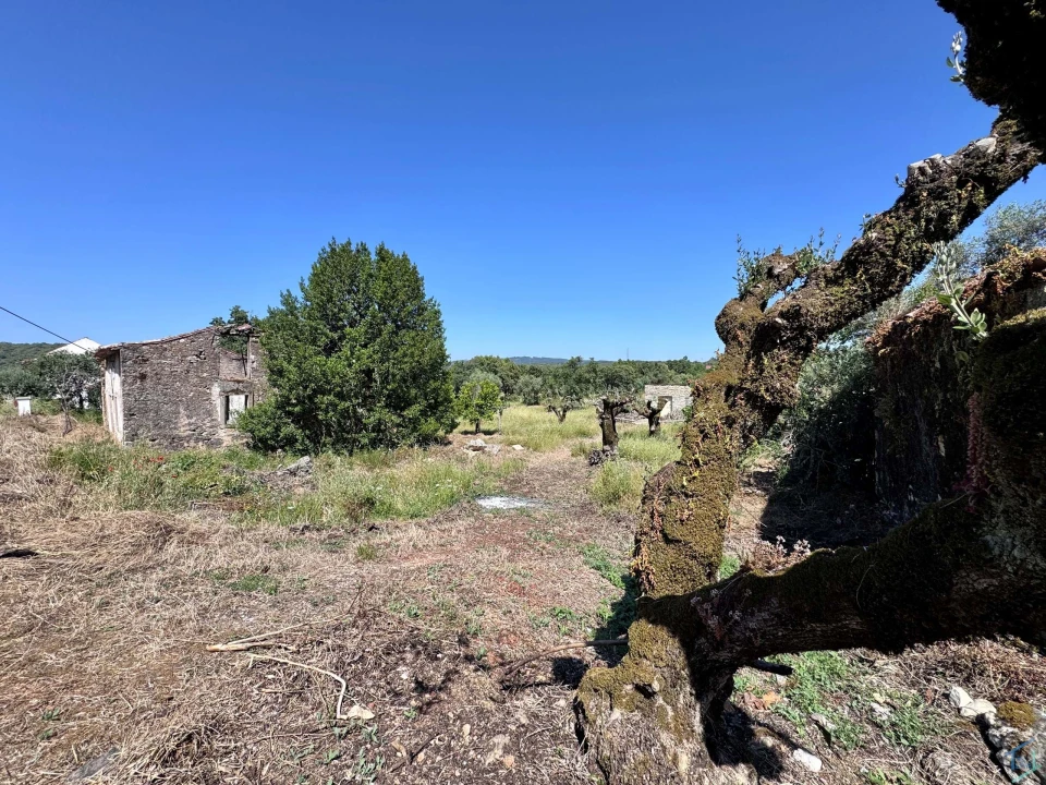 Terreno para Venda em Areias e Pias Foto 3