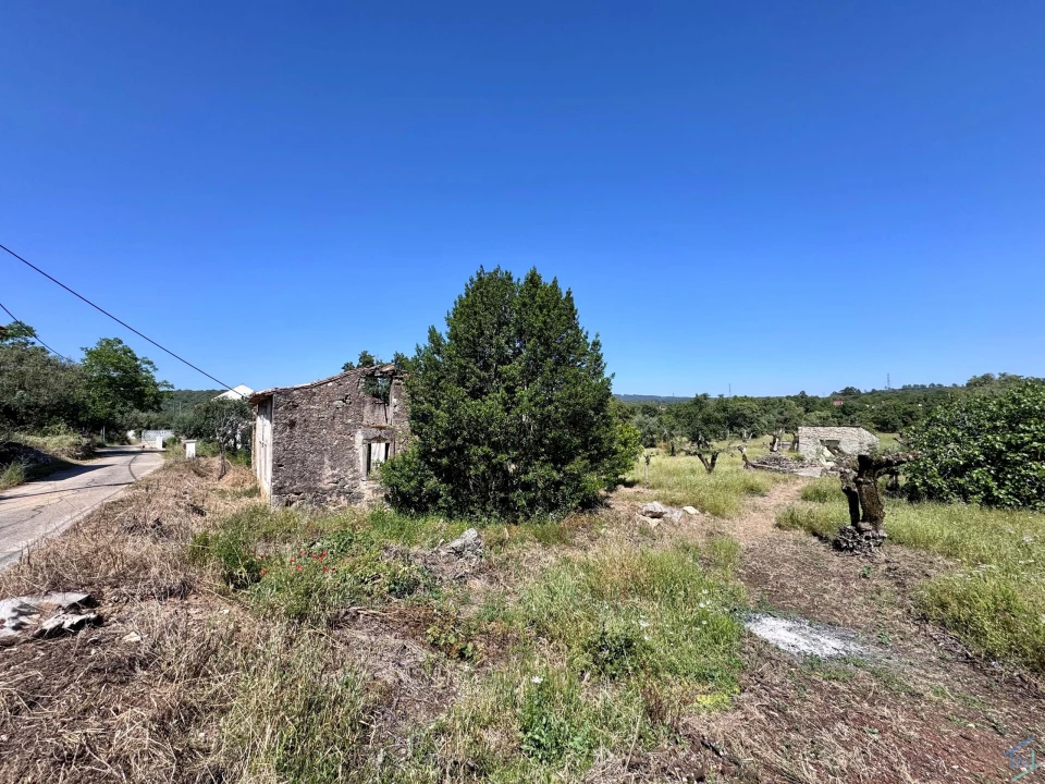 Terreno para Venda em Areias e Pias Foto 4