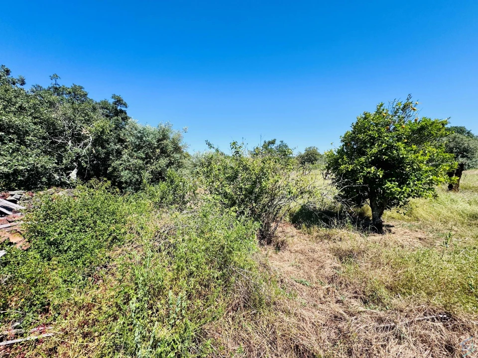 Terreno para Venda em Areias e Pias Foto 16