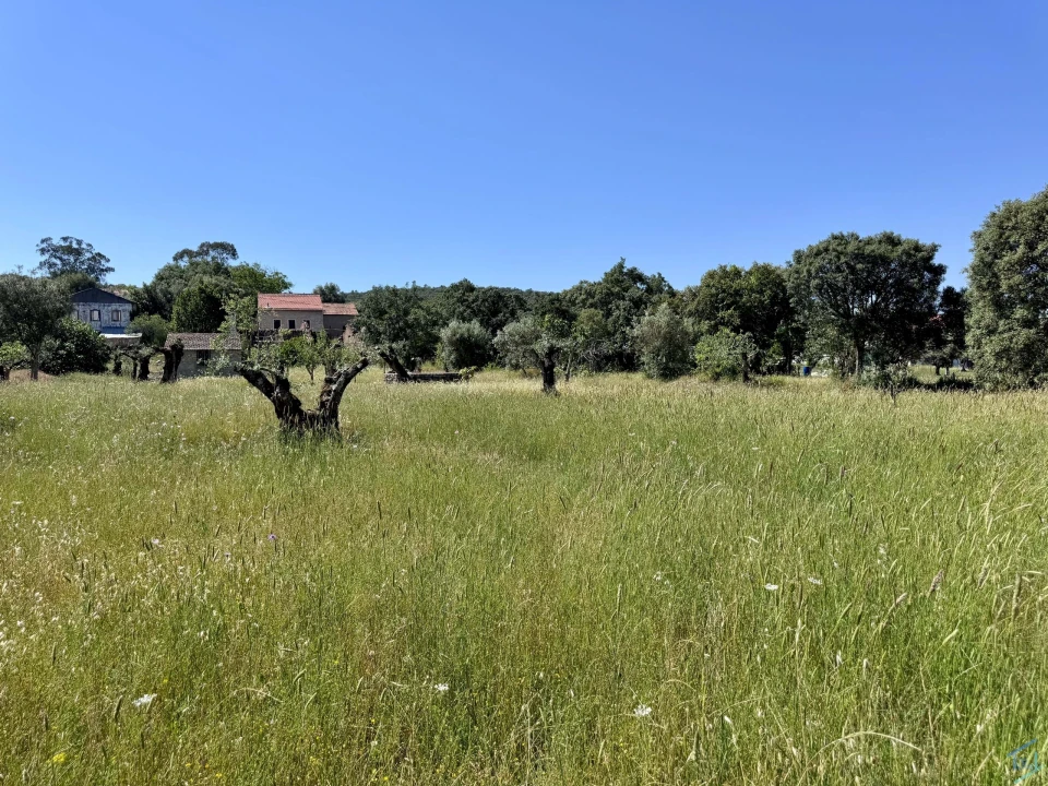 Terreno para Venda em Areias e Pias Foto 57