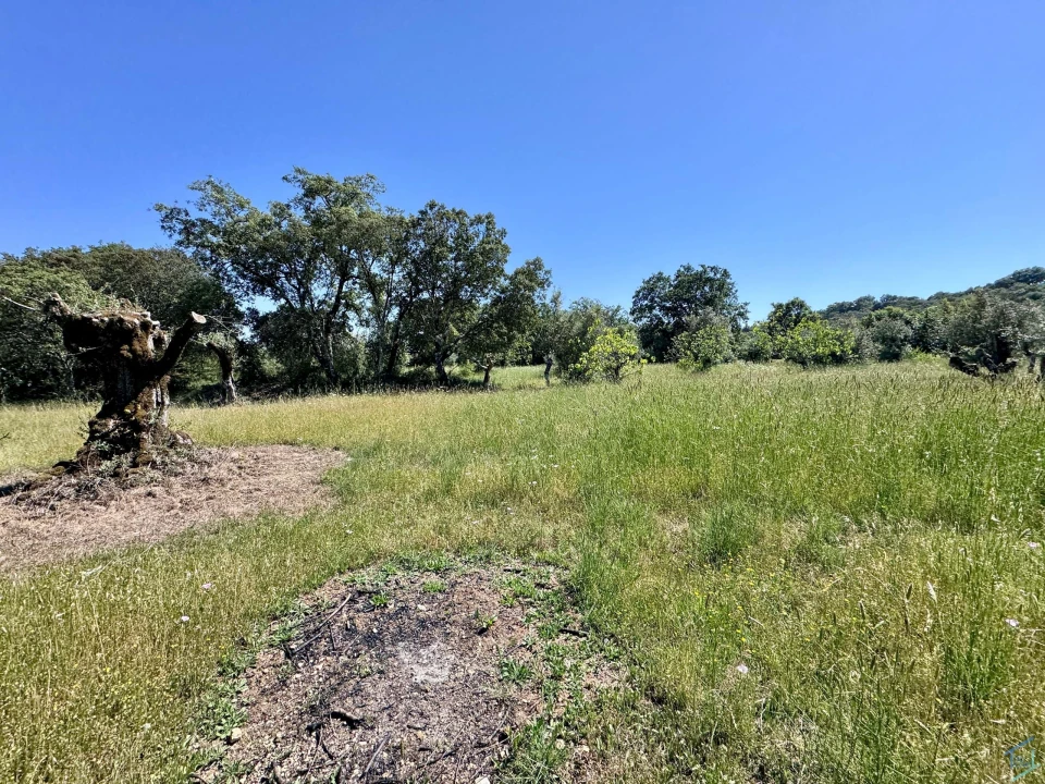 Terreno para Venda em Areias e Pias Foto 39