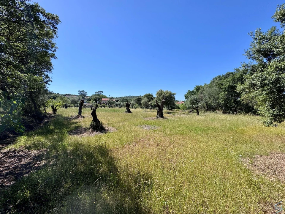 Terreno para Venda em Areias e Pias Foto 45
