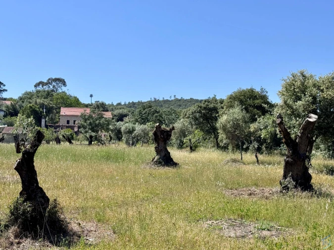 Terreno para Venda em Areias e Pias Foto 48