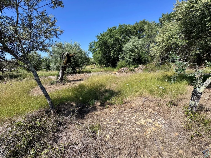 Terreno para Venda em Areias e Pias Foto 40