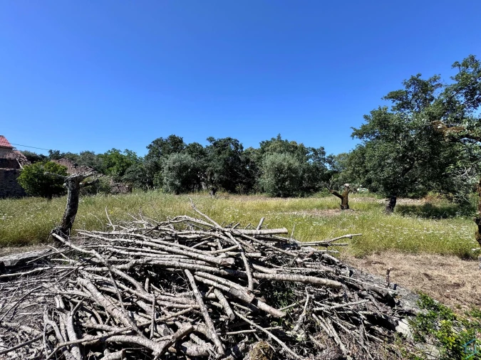 Terreno para Venda em Areias e Pias Foto 24