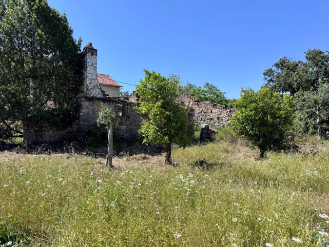 Terreno para Venda em Areias e Pias Foto 20