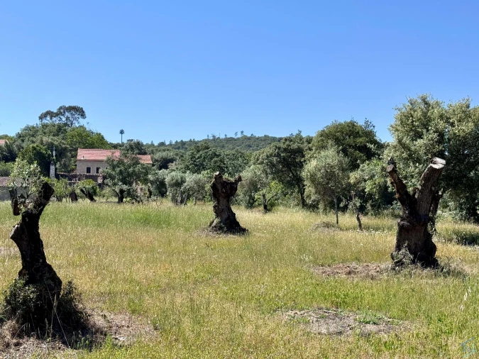 Terreno para Venda em Areias e Pias Foto 47