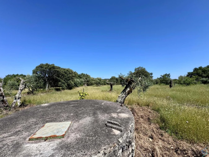 Terreno para Venda em Areias e Pias Foto 36