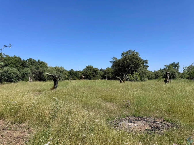 Terreno para Venda em Areias e Pias Foto 31