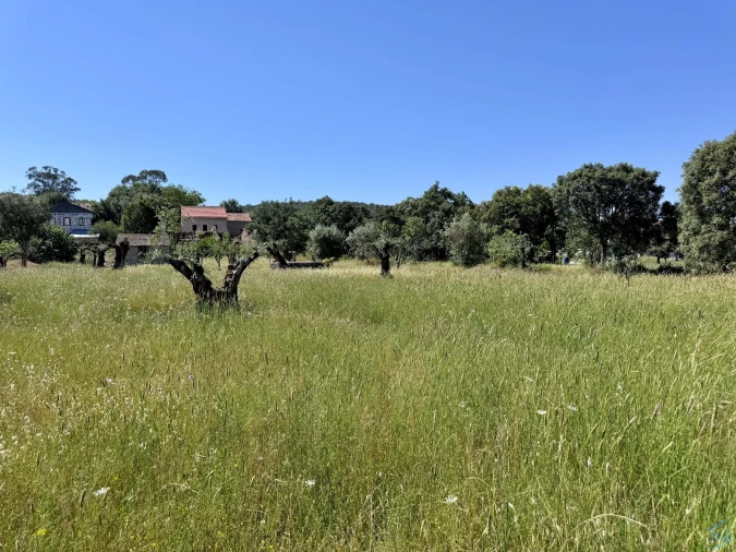 Terreno para Venda em Areias e Pias Foto 57
