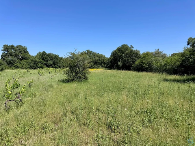 Terreno para Venda em Areias e Pias Foto 50
