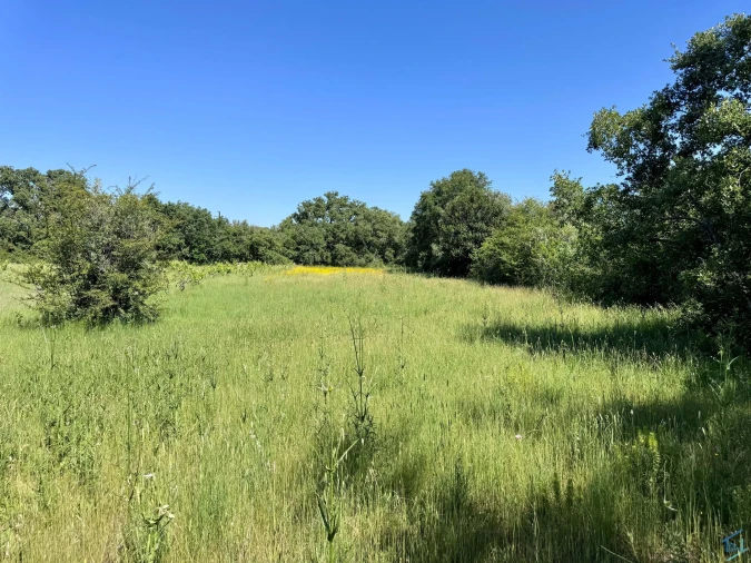 Terreno para Venda em Areias e Pias Foto 52