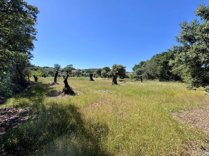 Terreno para Venda em Areias e Pias Foto 46