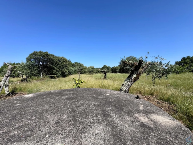 Terreno para Venda em Areias e Pias Foto 32