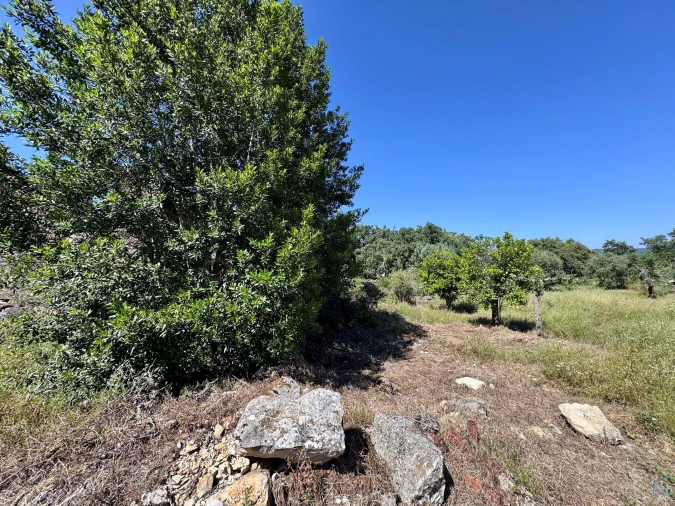 Terreno para Venda em Areias e Pias Foto 5