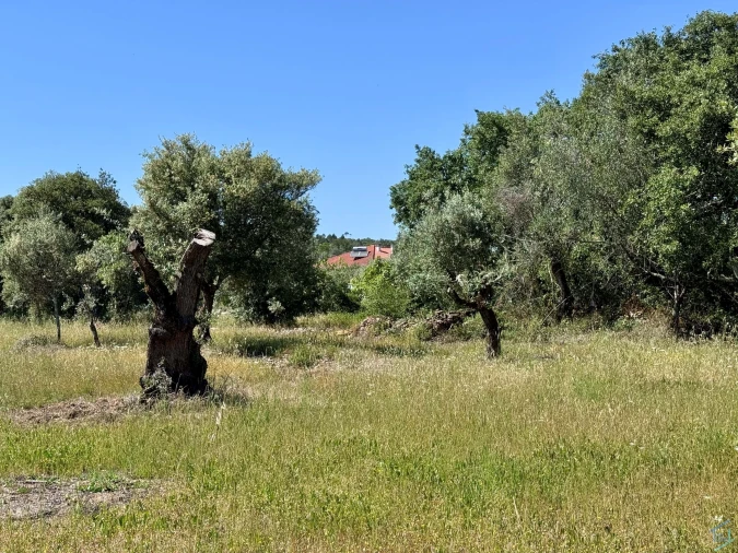 Terreno para Venda em Areias e Pias Foto 49