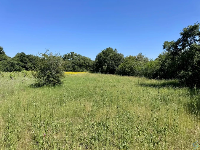 Terreno para Venda em Areias e Pias Foto 51