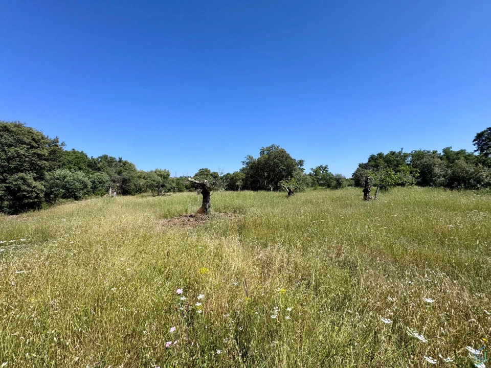 Terreno para Venda em Areias e Pias Foto 37