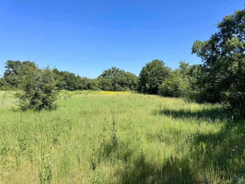 Terreno para Venda em Areias e Pias Foto 56