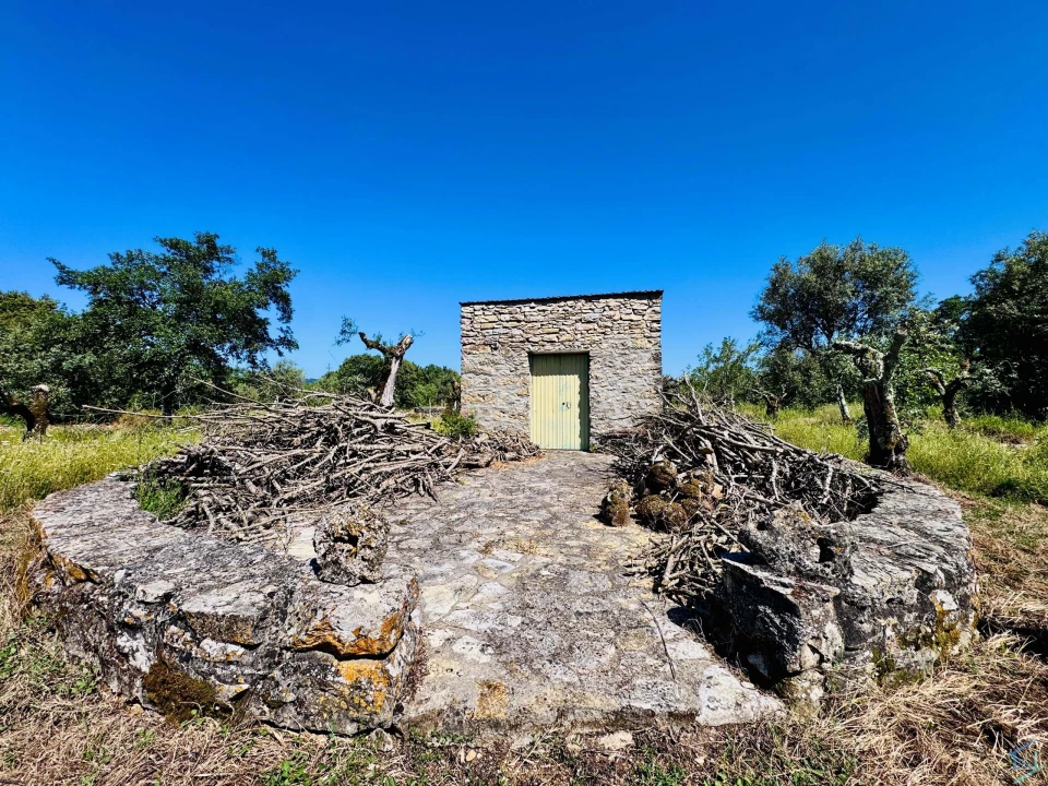 Terreno para Venda em Areias e Pias Foto 26