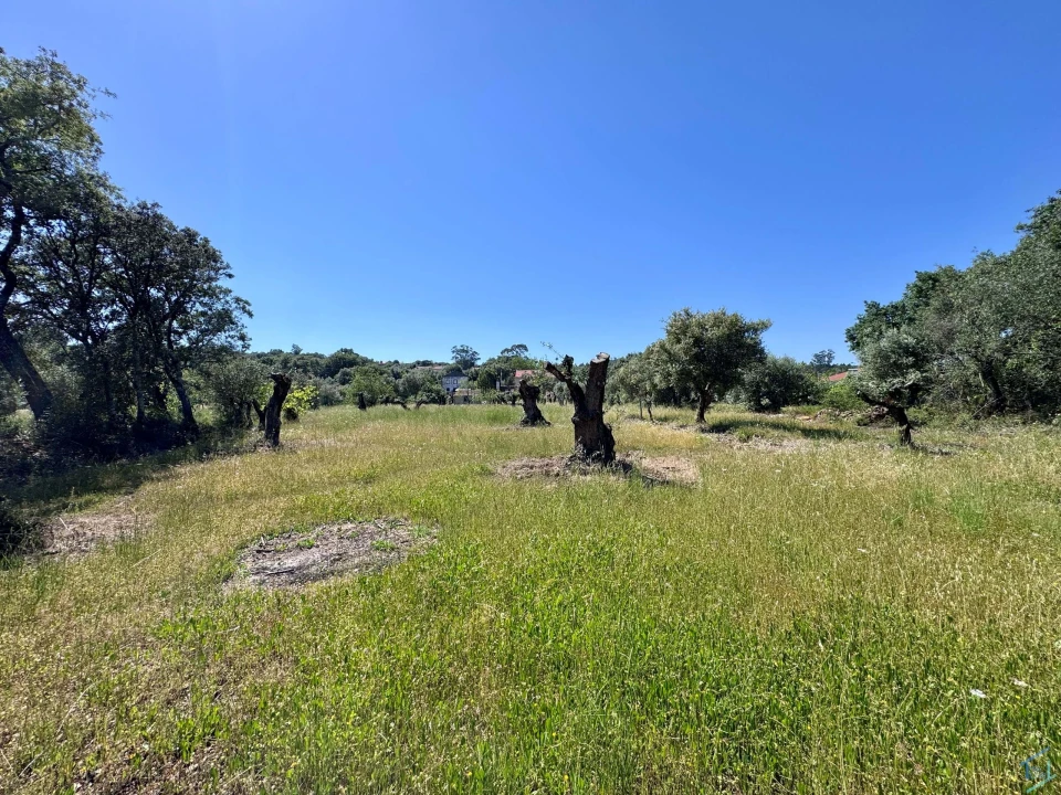 Terreno para Venda em Areias e Pias Foto 43