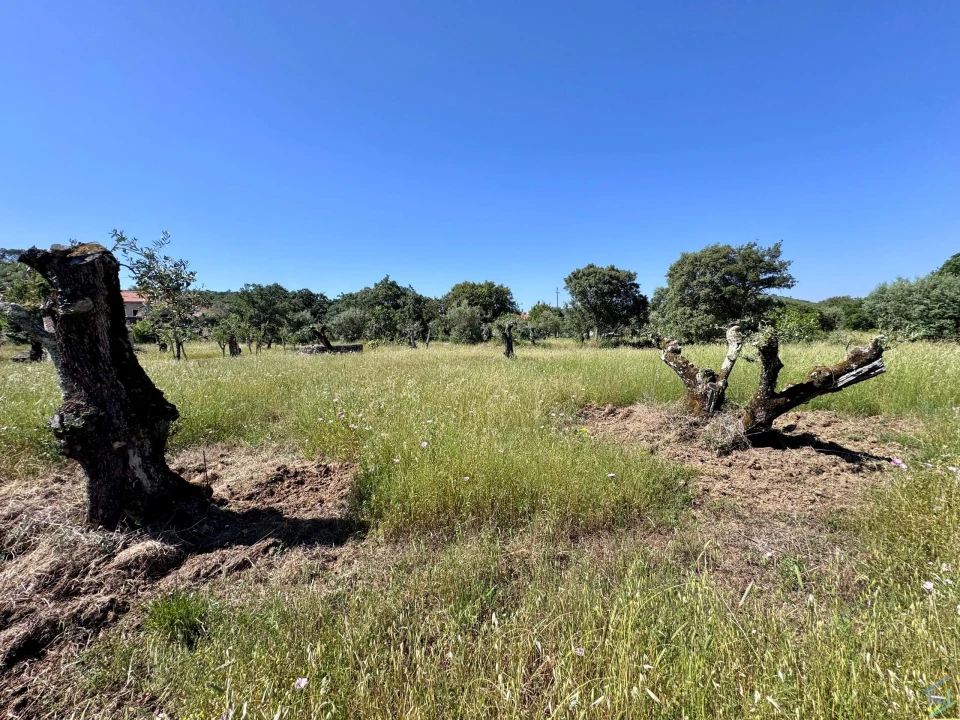 Terreno para Venda em Areias e Pias Foto 58