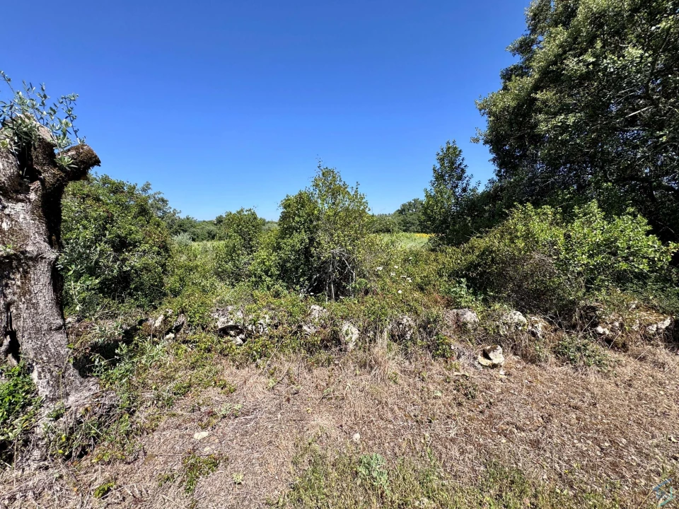 Terreno para Venda em Areias e Pias Foto 42