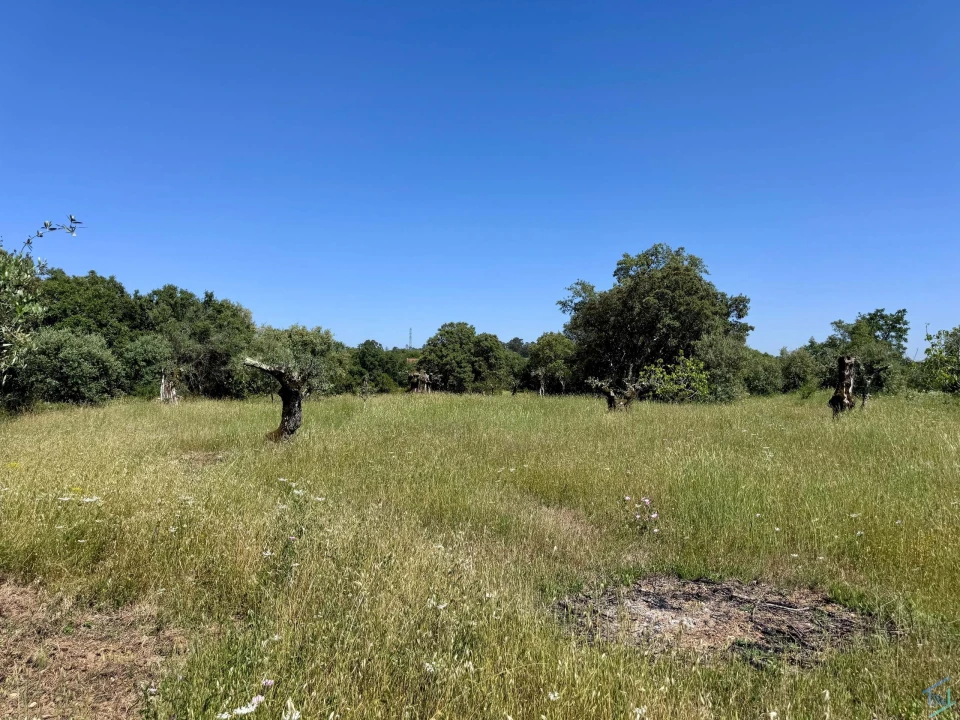 Terreno para Venda em Areias e Pias Foto 30