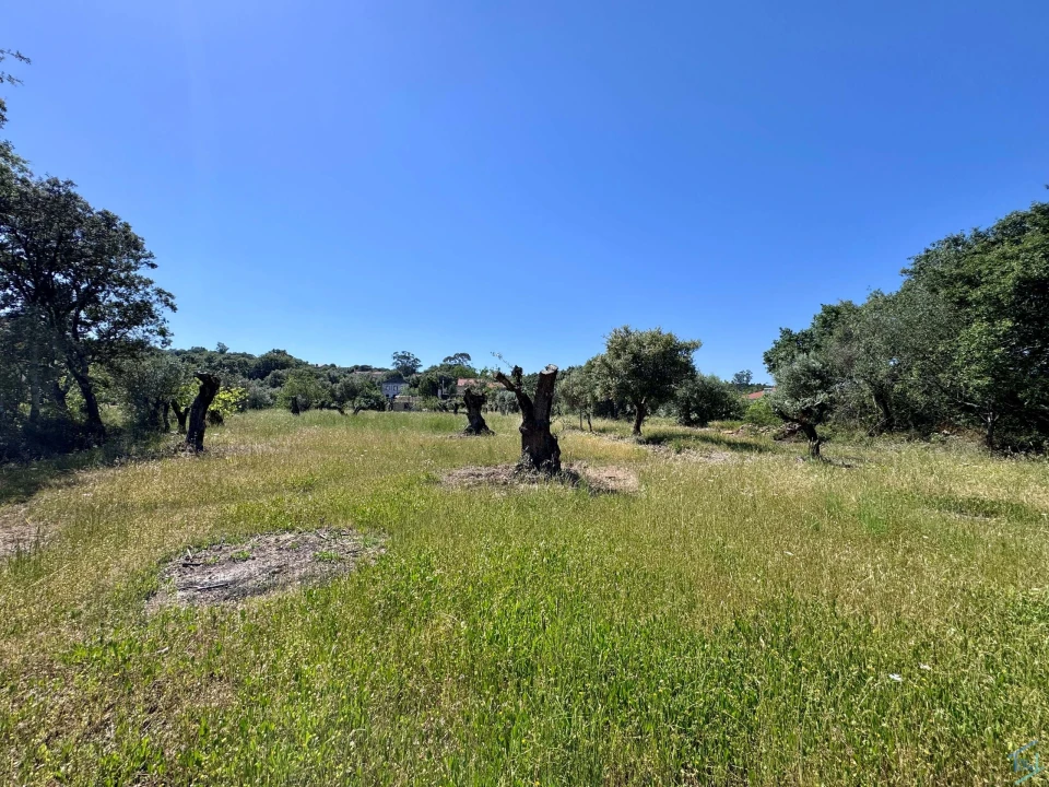 Terreno para Venda em Areias e Pias Foto 44