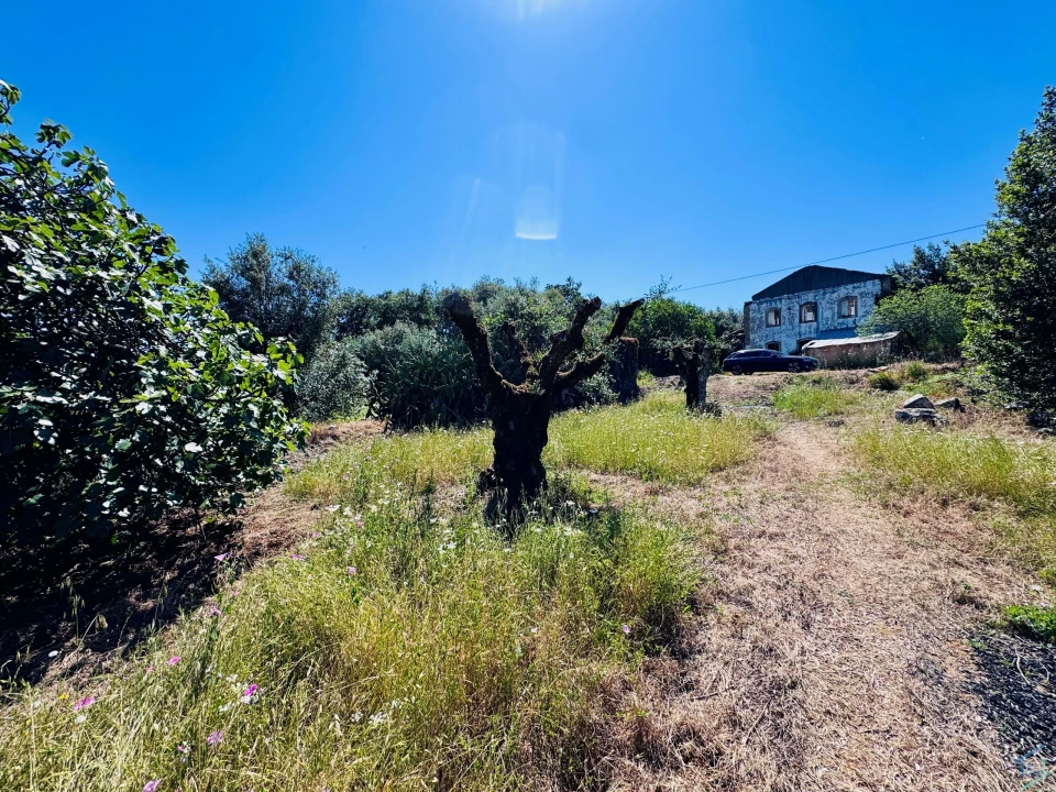 Terreno para Venda em Areias e Pias Foto 22