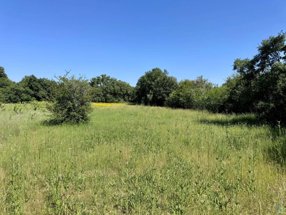 Terreno para Venda em Areias e Pias Foto 51