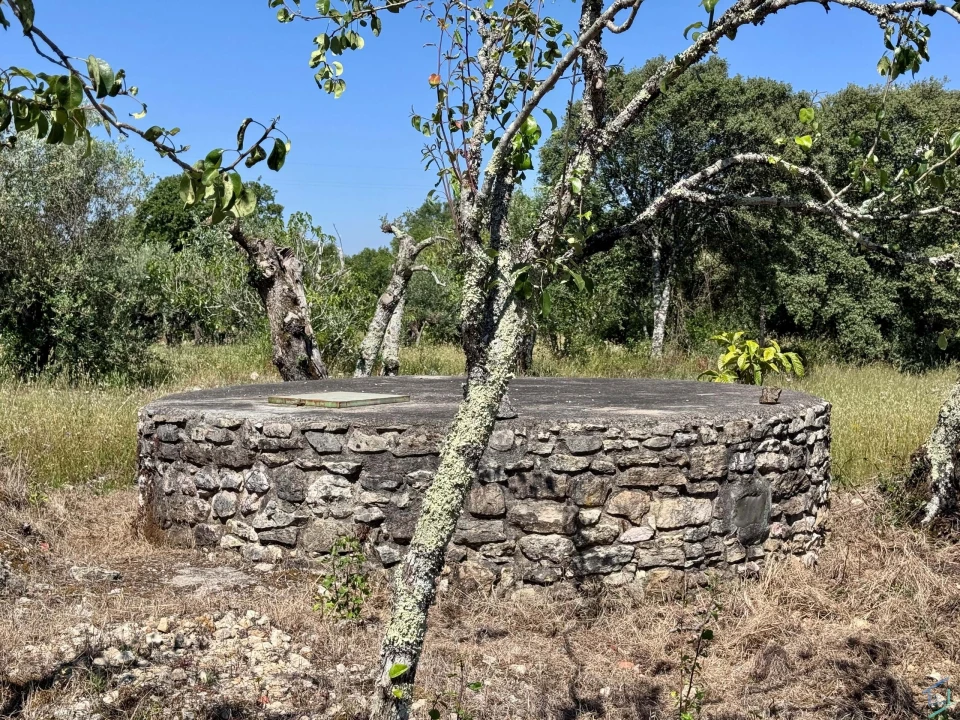 Terreno para Venda em Areias e Pias Foto 27