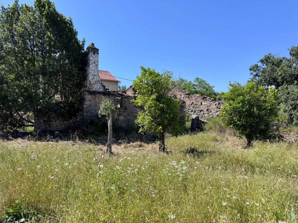 Terreno para Venda em Areias e Pias Foto 19