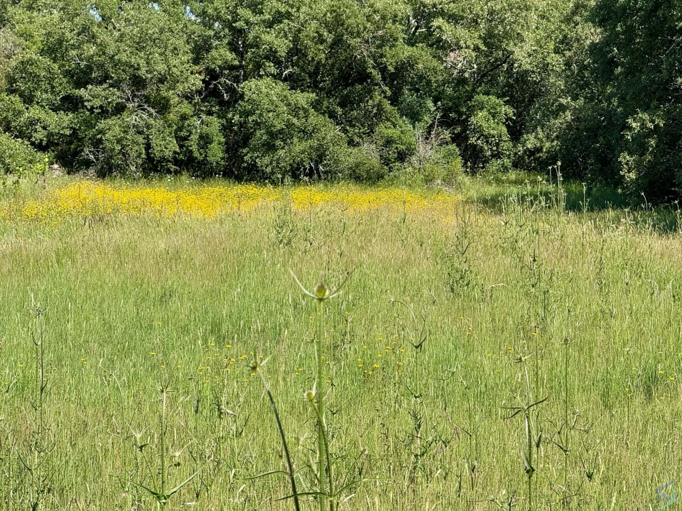 Terreno para Venda em Areias e Pias Foto 55