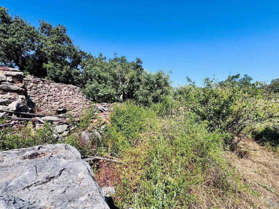 Terreno para Venda em Areias e Pias Foto 15