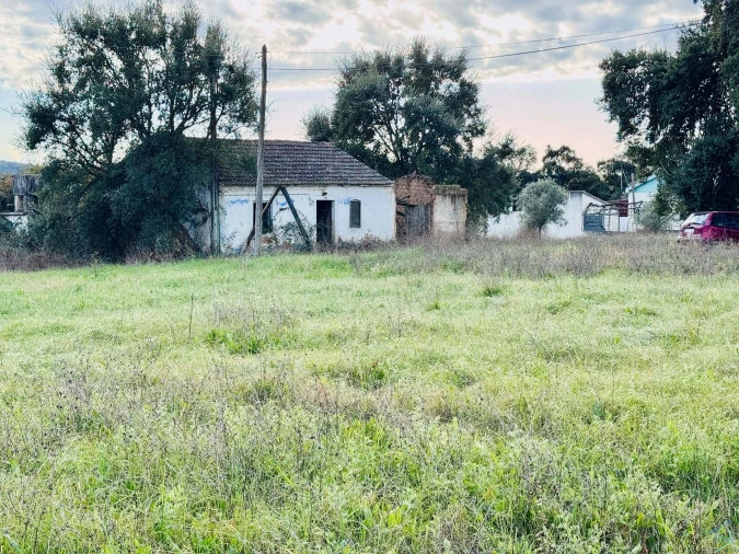 Moradia para Venda em Madalena e Beselga Foto 9