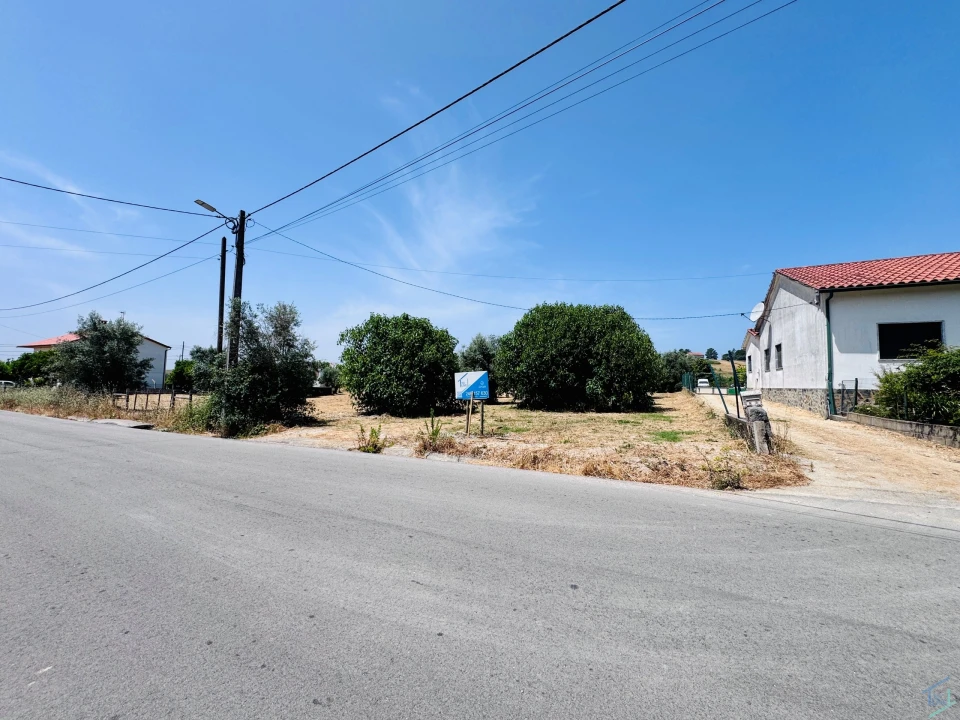 Terreno para Venda em São Pedro de Tomar Foto 7