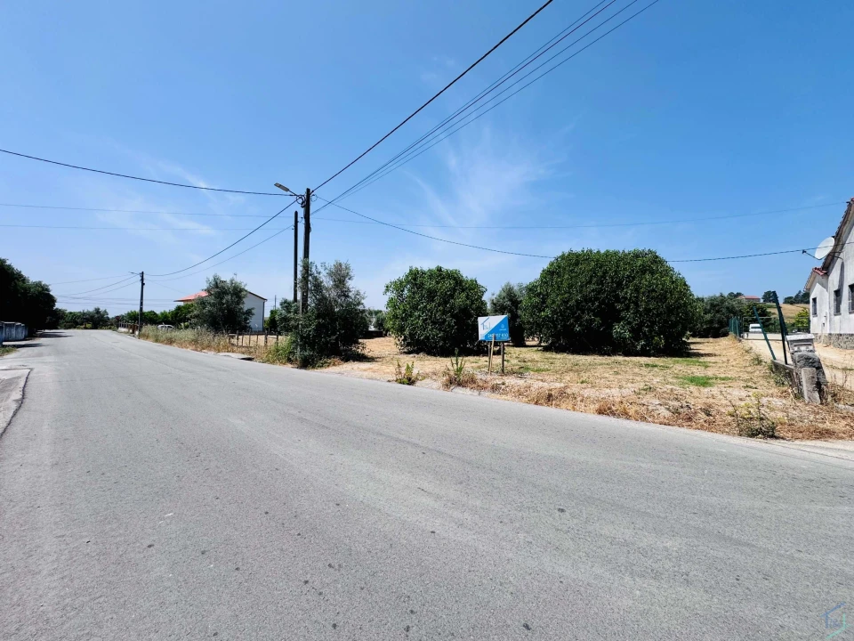 Terreno para Venda em São Pedro de Tomar Foto 8