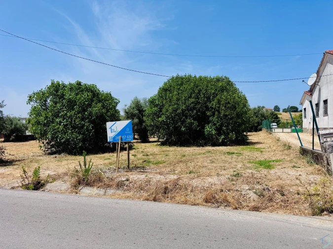 Terreno para Venda em São Pedro de Tomar Foto 9